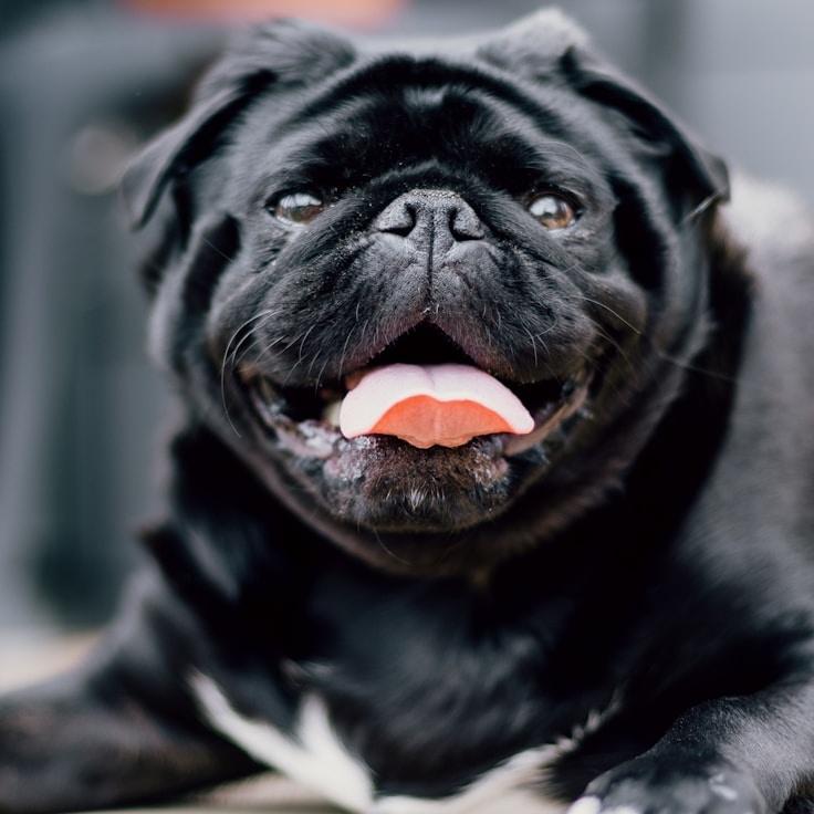 Captain Nathaniel Beaumont