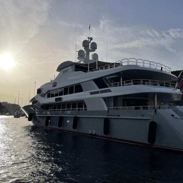 Luxurious marine life moment